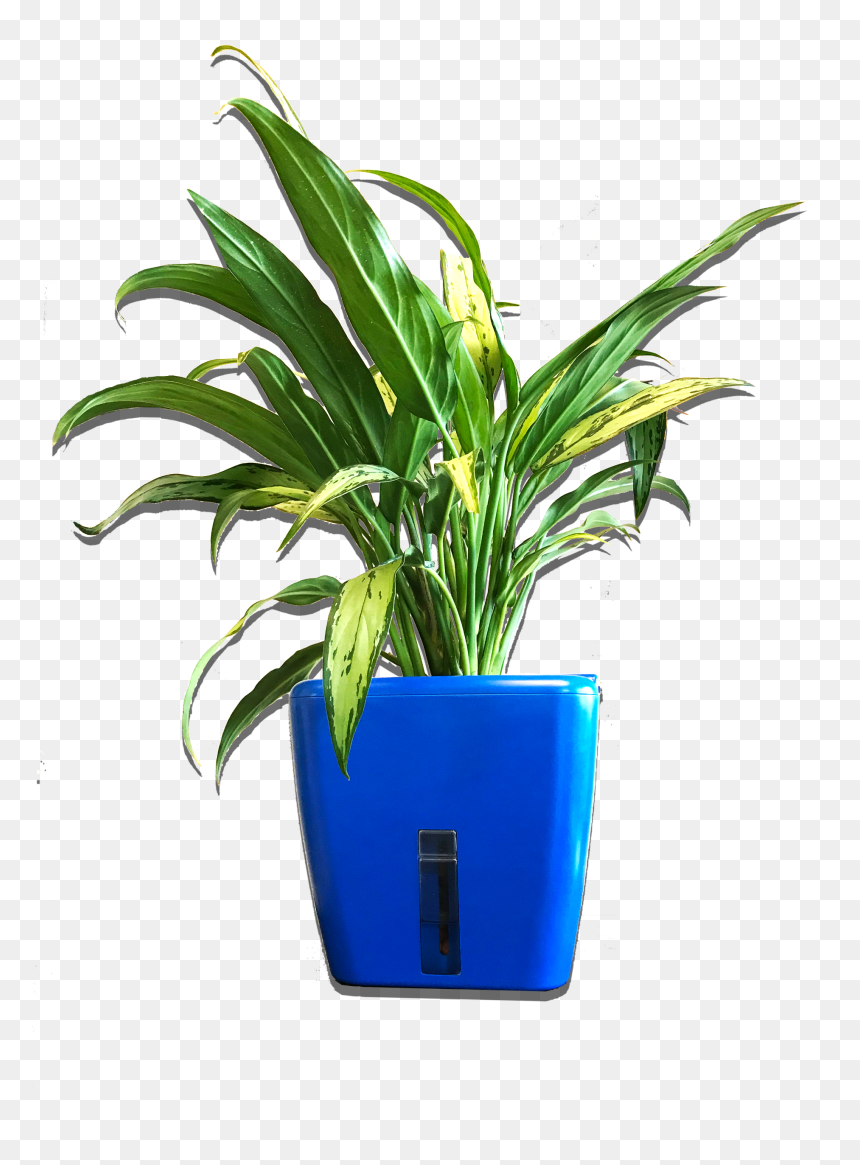 Flowerpot, HD Png Download - outdoor potted plants png