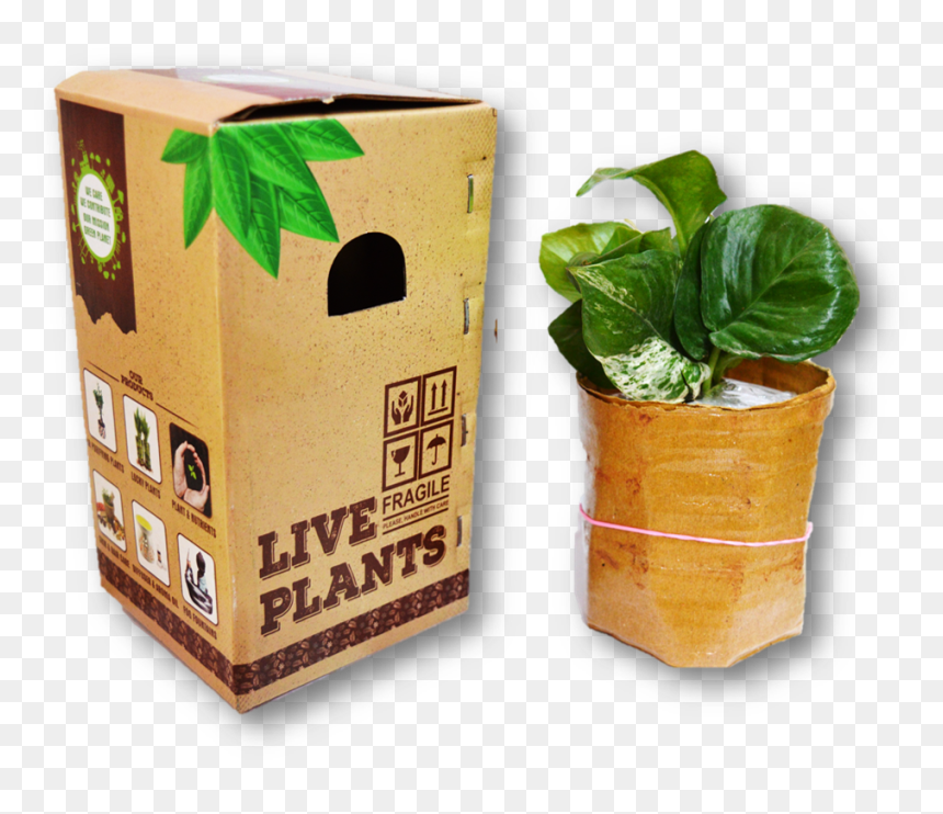 Flowerpot, HD Png Download - outdoor potted plants png