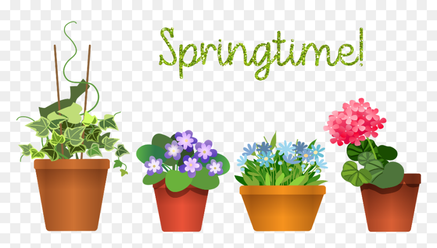 Plante De Maison A Fleur, HD Png Download - outdoor potted plants png