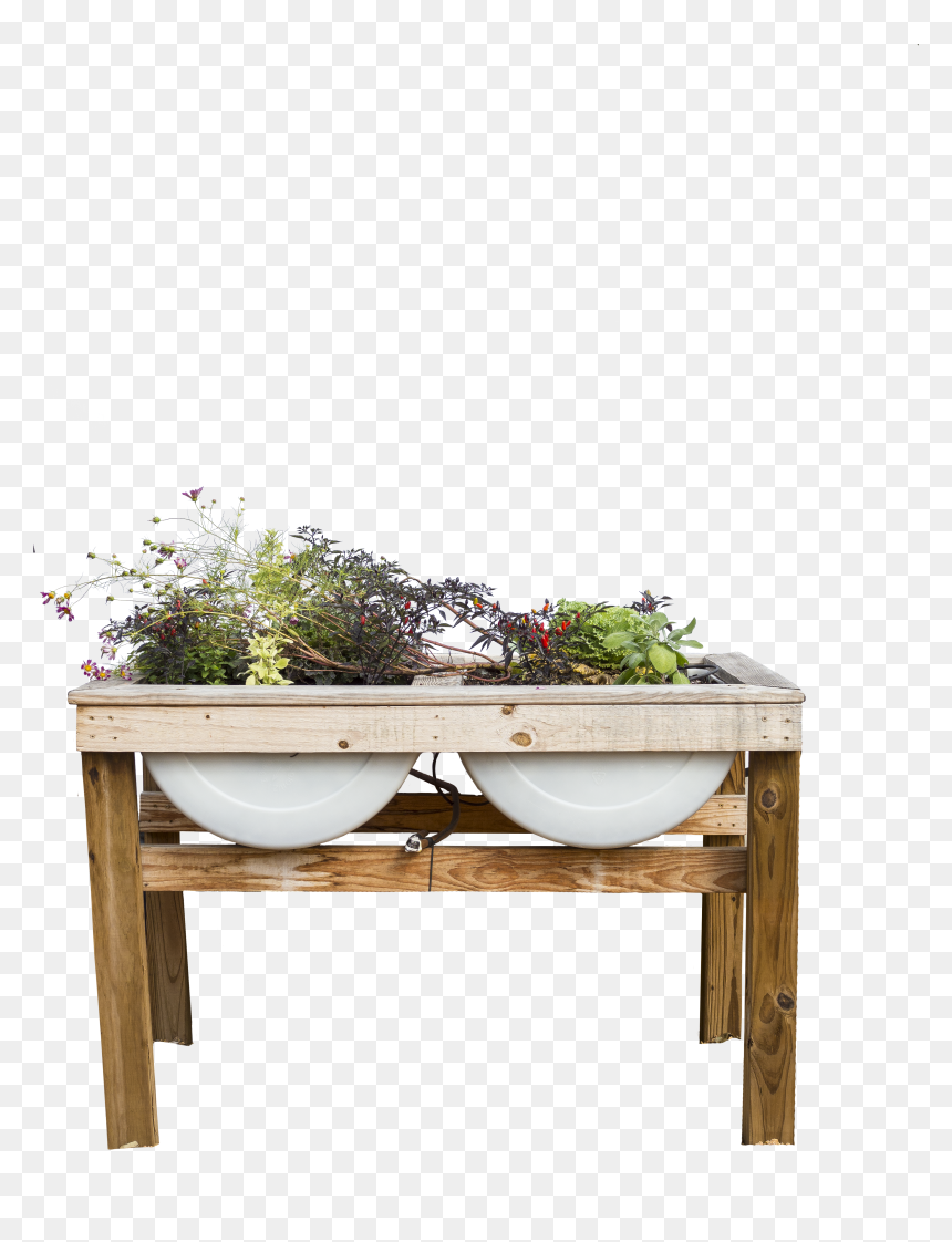 Outdoor Potted Plants Png, Transparent Png - outdoor potted plants png