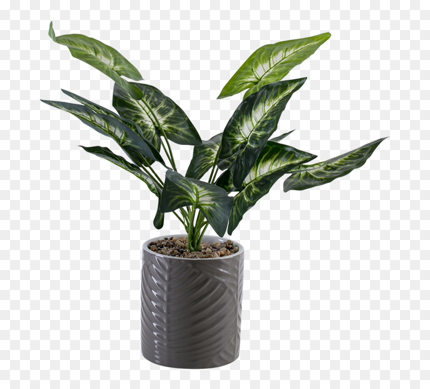 Flowerpot, HD Png Download - outdoor potted plants png