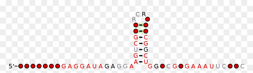 Circle, HD Png Download - gog png