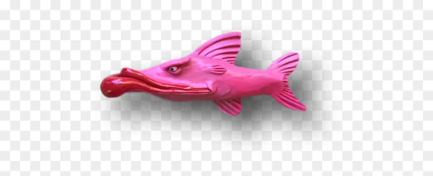 Bronze Hammerhead Shark, HD Png Download - snook png