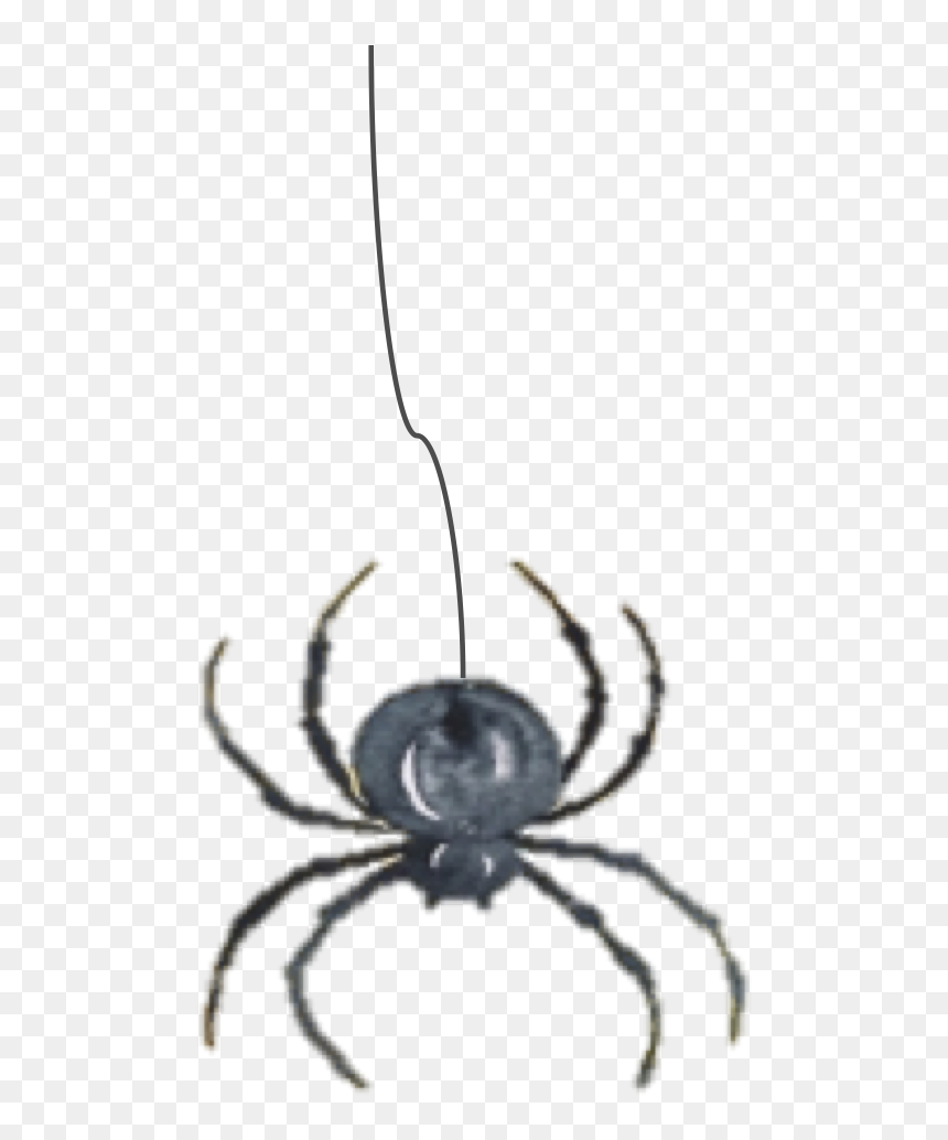 Insect, HD Png Download - charlotte's web png
