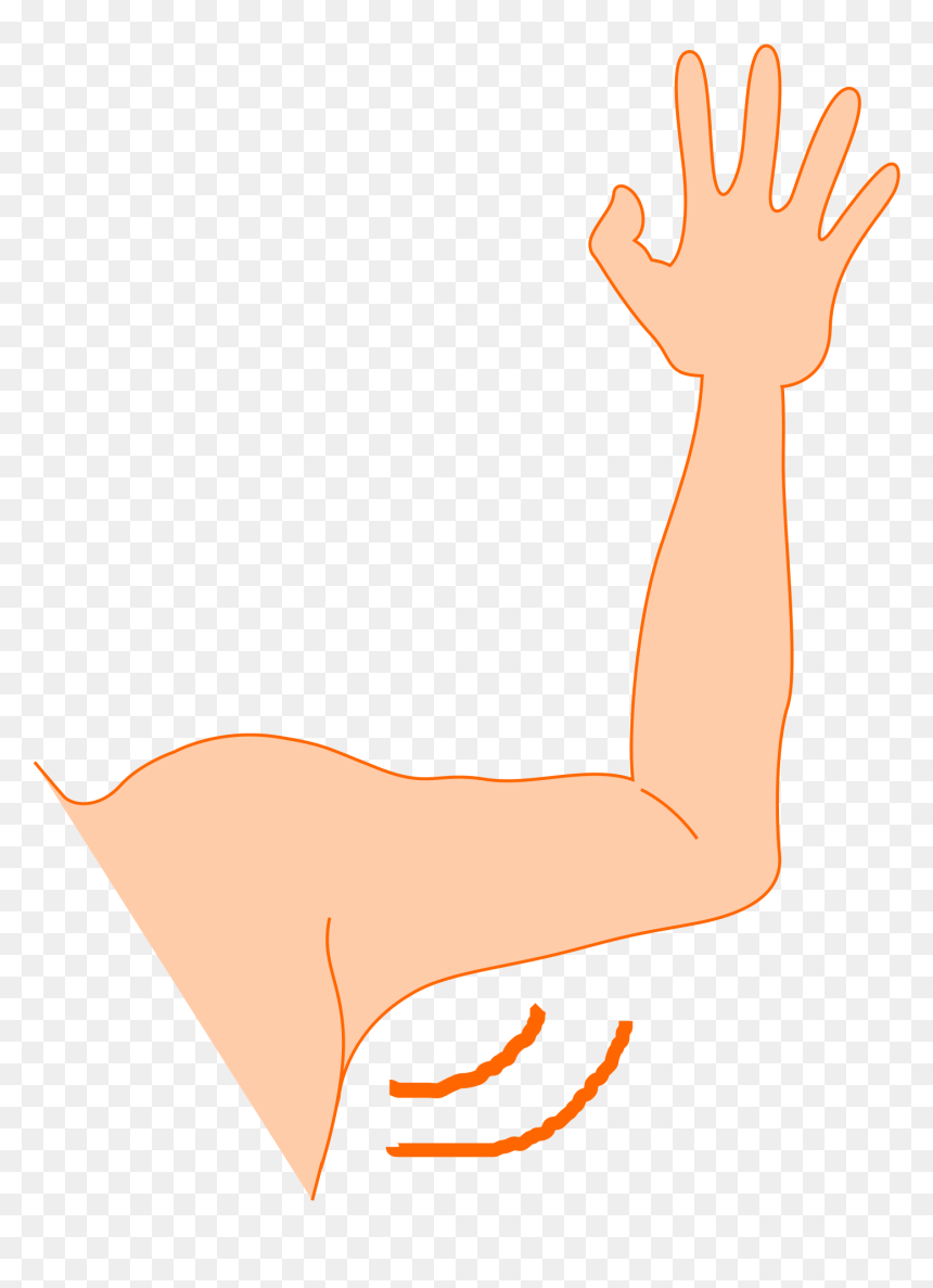 Bra Clipart Left Arm - Armpit Transparent Background, HD Png Download - left arm png