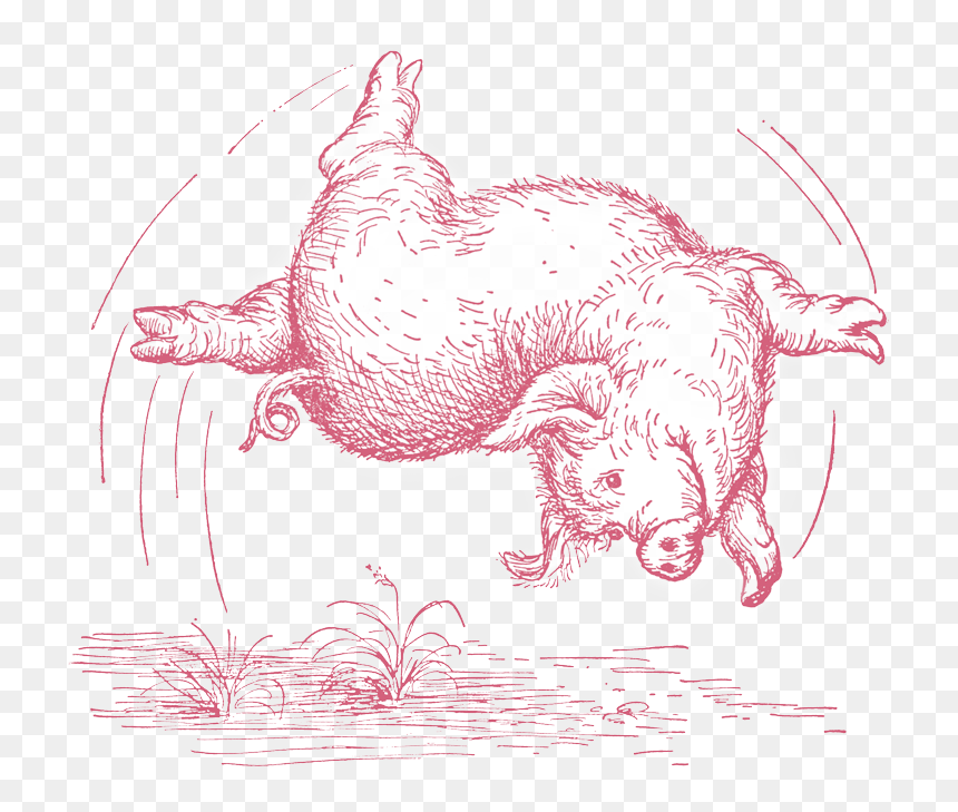 Illustration, HD Png Download - charlotte's web png