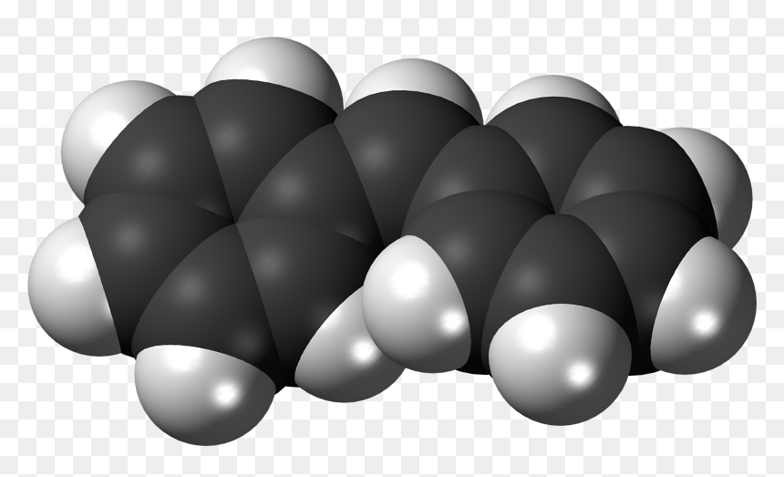 Test Upload For Black And White Png Rendering Bug - Molecule, Transparent Png - bug.png