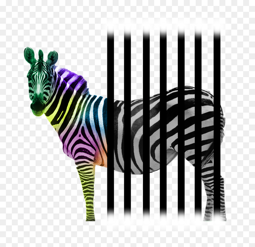 Affiche Wwf, HD Png Download - barcode .png