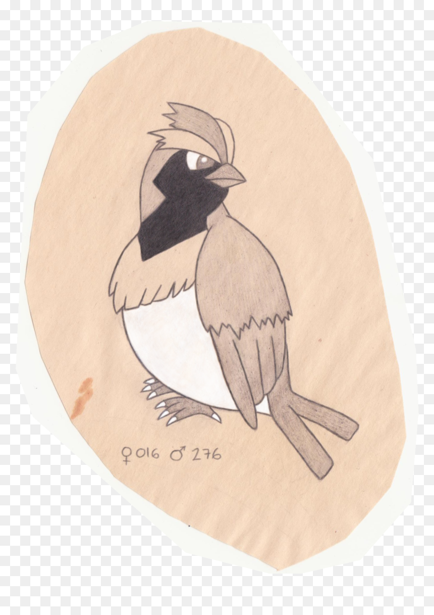 Svg Library Download Birb Drawing Nature - Bufflehead, HD Png Download - birb png