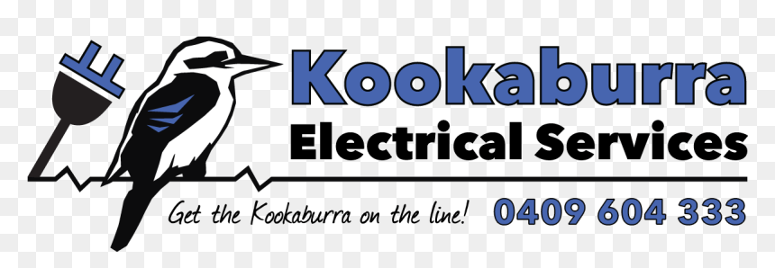 Kookaburra Electrical Services - Fisher Scientific, HD Png Download - electricity.png