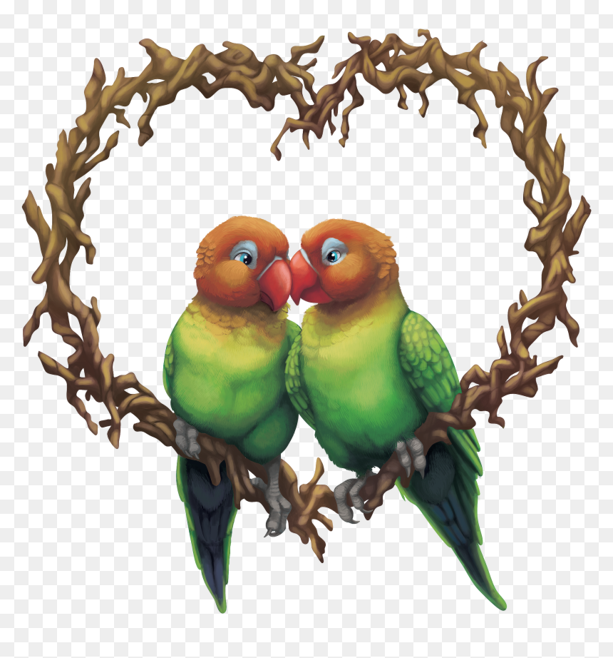Budgie, HD Png Download - birb png