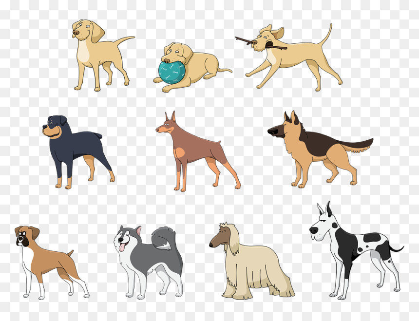 Cute Great Dane Drawing, HD Png Download - hound png