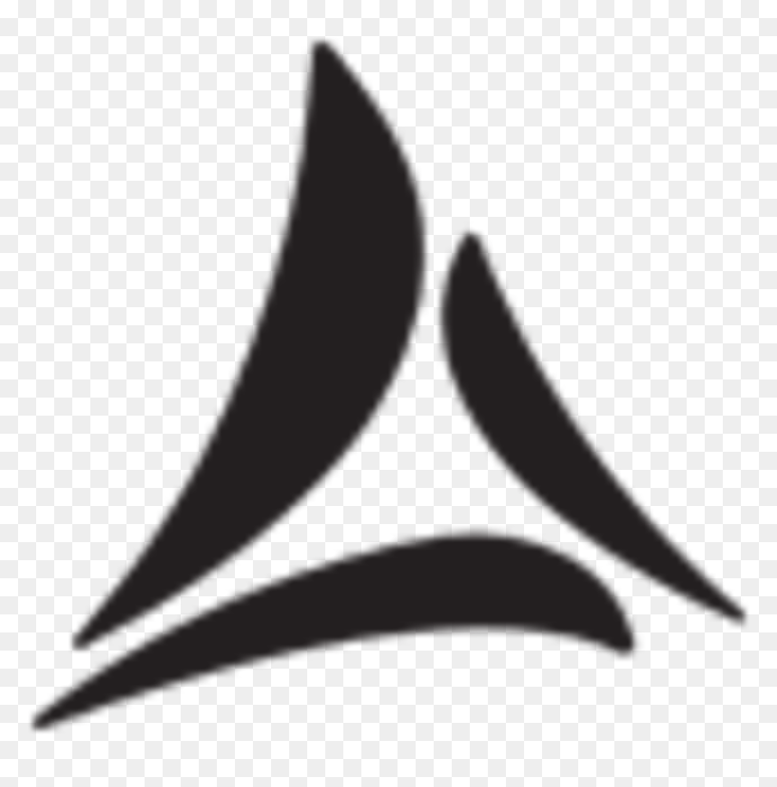 Bsa Icon - Bermuda Sands Shirts Logo, HD Png Download - pagani logo png