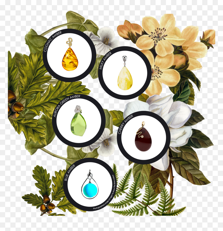 Green Amber Is Around One Million Years Old And Therefore - Floral Design, HD Png Download - amber png
