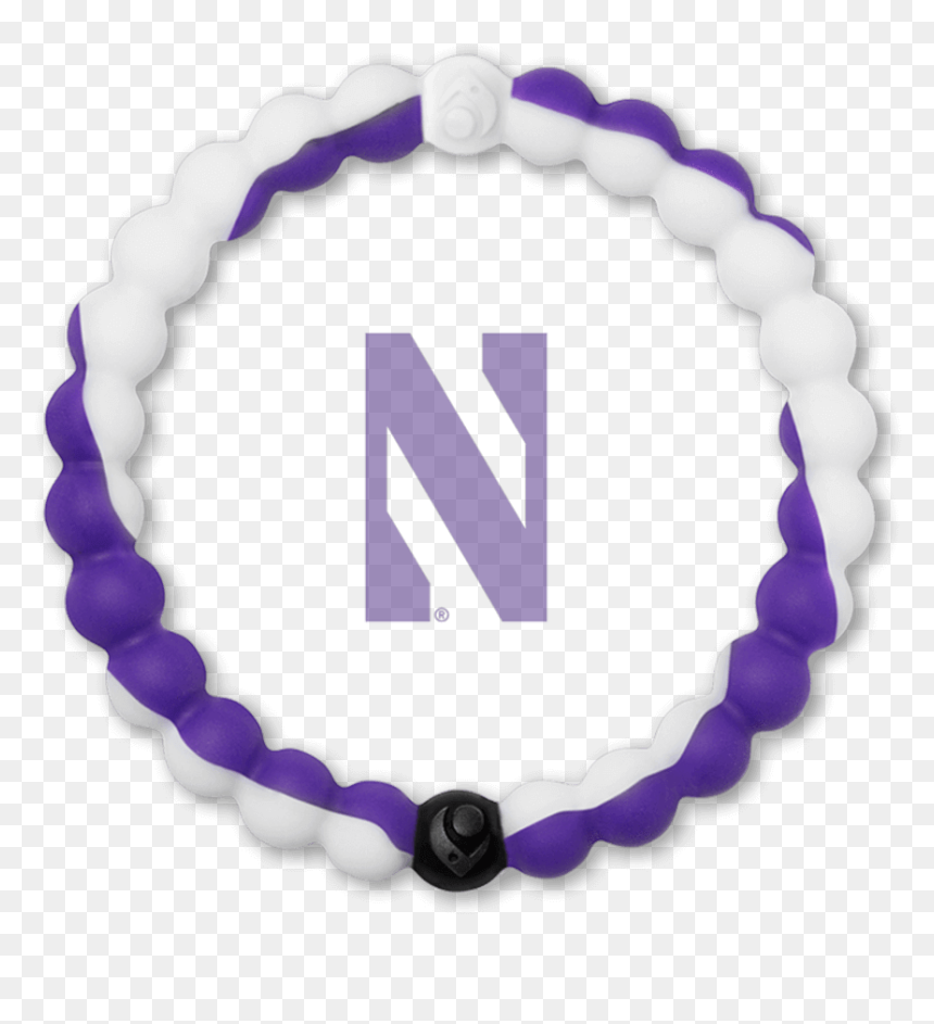 Slider Image - Circle, HD Png Download - northwestern university logo png