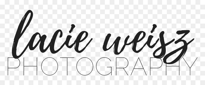 Lacie Weisz Photography - Calligraphy, HD Png Download - lacie logo png