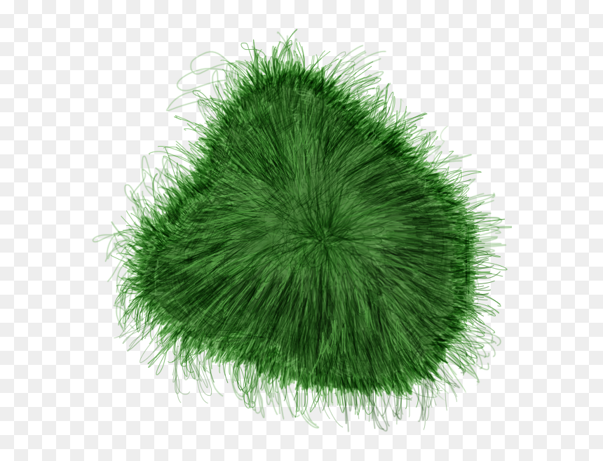 Grass Spot - Chlorophyta, HD Png Download - grass photoshop png