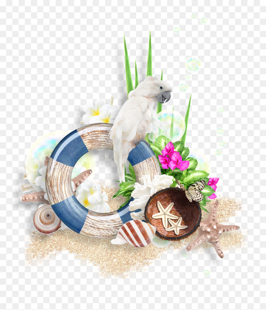 Photoshop, Scrapbooking, Ornament, For Photos, Decor, - Photograph, HD Png Download - grass photoshop png