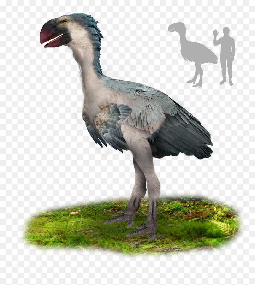 File - Gastornis - Gastornis, HD Png Download - grass photoshop png