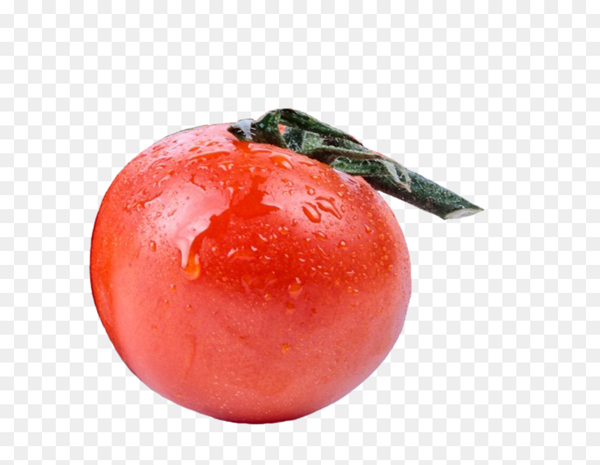 Single Tomato Clipart - Plum Tomato, HD Png Download - single birthday candle png