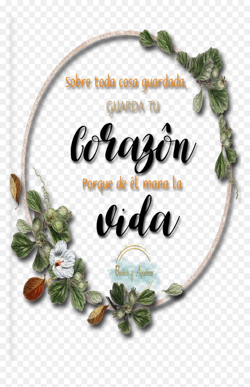 Herbal, HD Png Download - la biblia png