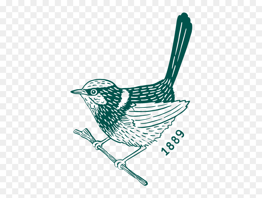 Carringbush Icon Small Green Web-square - Emberizidae, HD Png Download - square png image