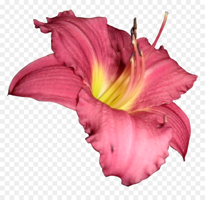 Thumb Image - Dios Saludos Y Bendiciones, HD Png Download - efectos png para photoscape