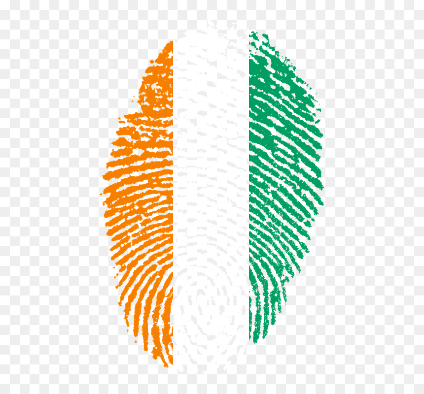 Cote D Ivoire Png, Transparent Png - fingerprint vector png