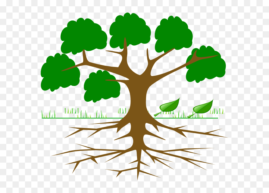 Tree Clipart With Roots - Imagenes De Arboles Con Ramas, HD Png Download - fallen tree png