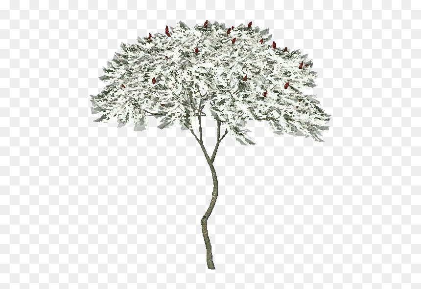3d Trees - American Sumo - Acca Software - Artificial Flower, HD Png Download - fallen tree png