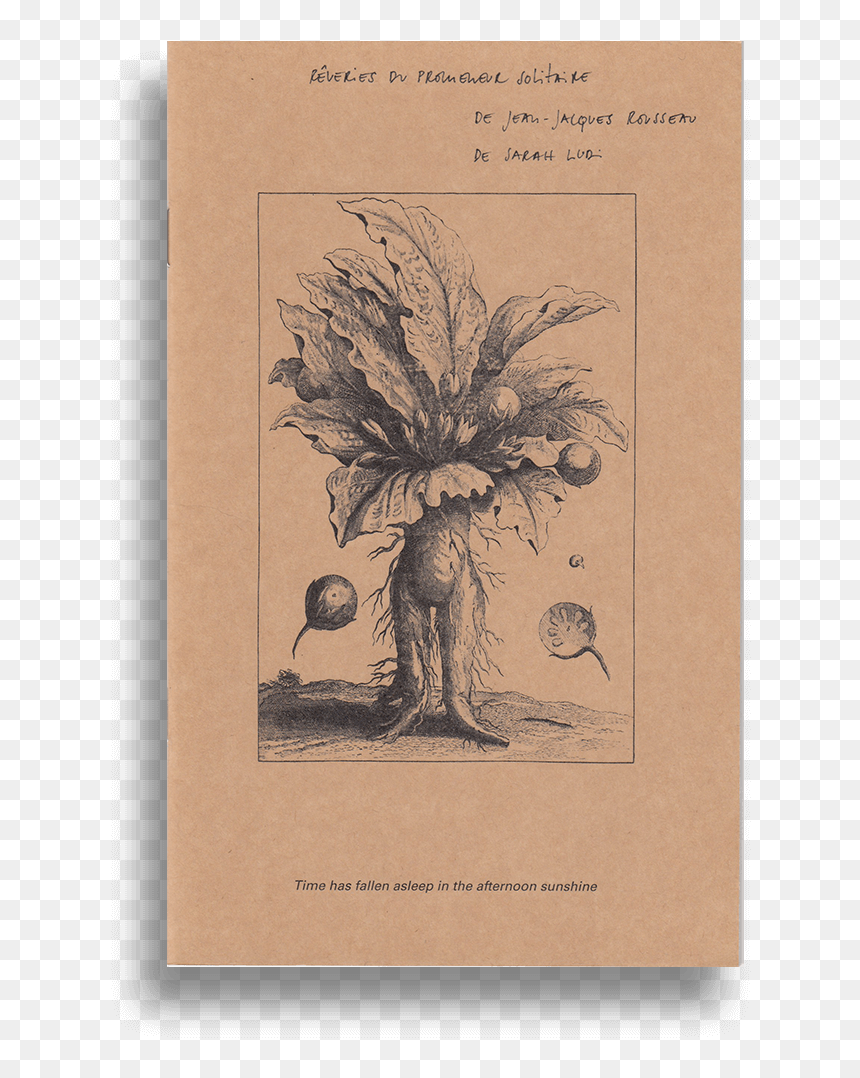 Dug Up Plant Drawing, HD Png Download - fallen tree png