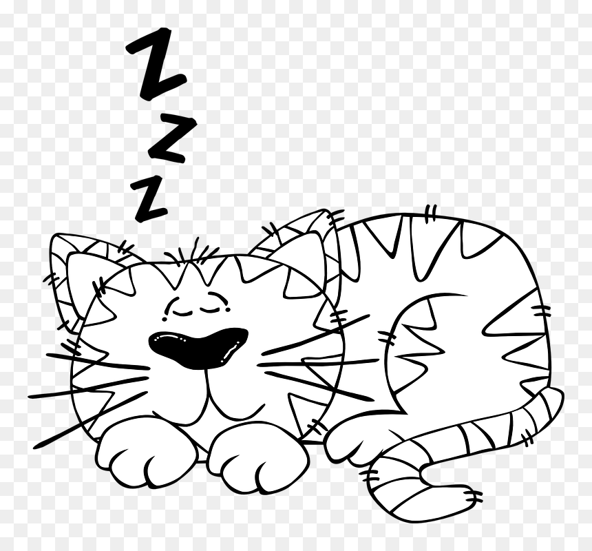 Colouring Pages Sleep, HD Png Download - sleeping z's png