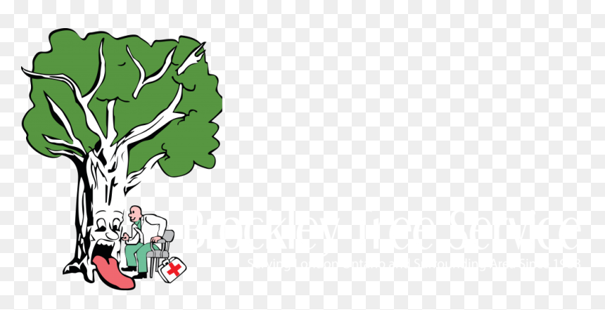 Brockley Tree Service Serving London Ontario - Arborist Cartoons, HD Png Download - fallen tree png
