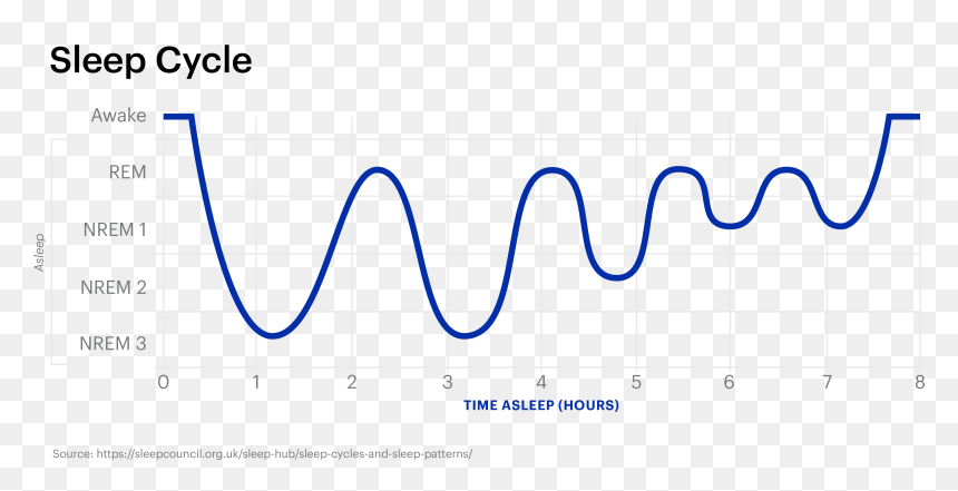 Product Life Cycle, HD Png Download - sleeping z's png