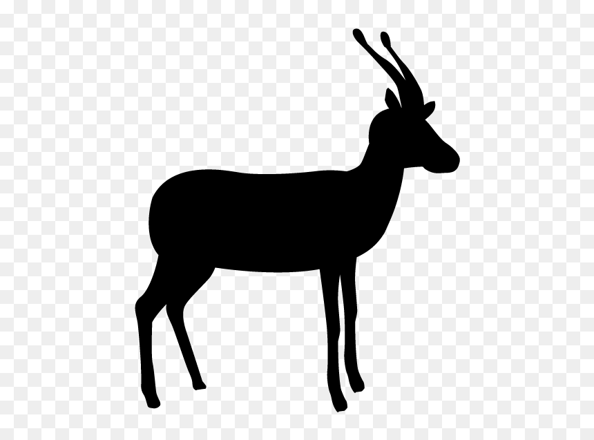 Transparent Background Deer Silhouette Png, Png Download - deer icon png