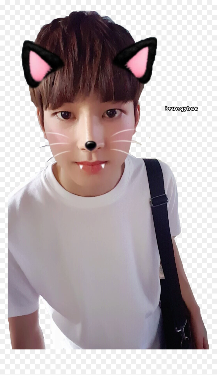 Best 59 Wonwoo Wallpapers On Hipwallpapers - Wonwoo Twitter, HD Png Download - wonwoo png