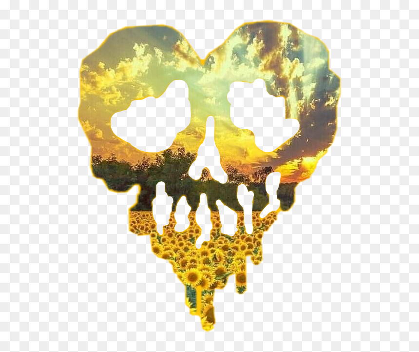 #skull #heart #skullheart #sunflower #sunset #sunflowerskull - Heart, HD Png Download - skull heart png
