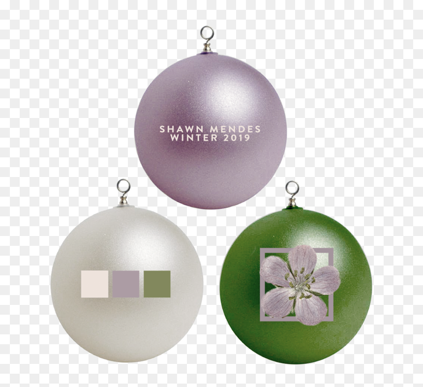 Shawn Mendes Christmas Ornament, HD Png Download - floral ornament png