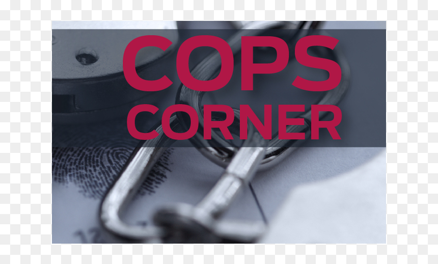 Ormond Beach Observer, HD Png Download - arrested png