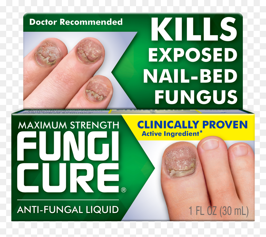 Poster, HD Png Download - fungus png