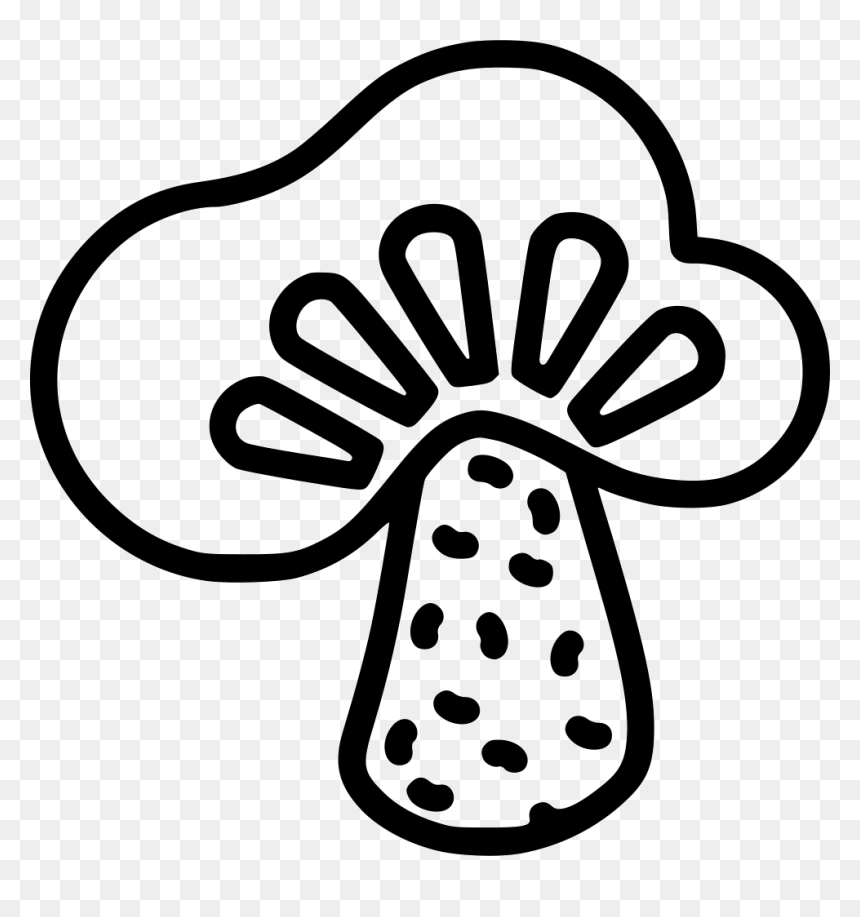 Vegetable Mushroom Fungus Helthy Fresh - Line Art, HD Png Download - fungus png