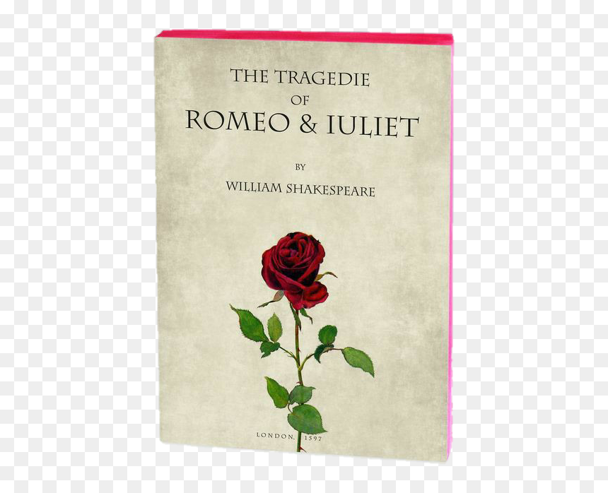 Botanical Illustration Rose Red, HD Png Download - leaf png tumblr
