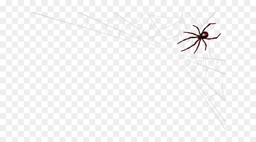 Spider Web, HD Png Download - spider net png
