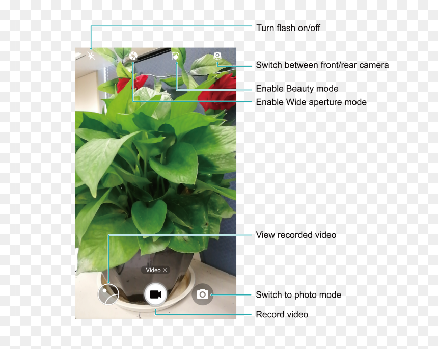 Gardening, HD Png Download - camera record png