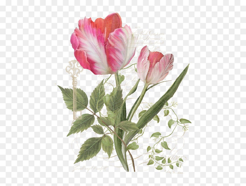 Elegant Art Tulips, HD Png Download - indigo plant png