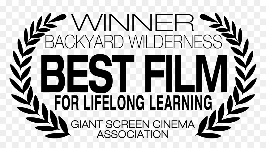 Clip Art Sk Films Award Winning - Parallel, HD Png Download - cinema icon png