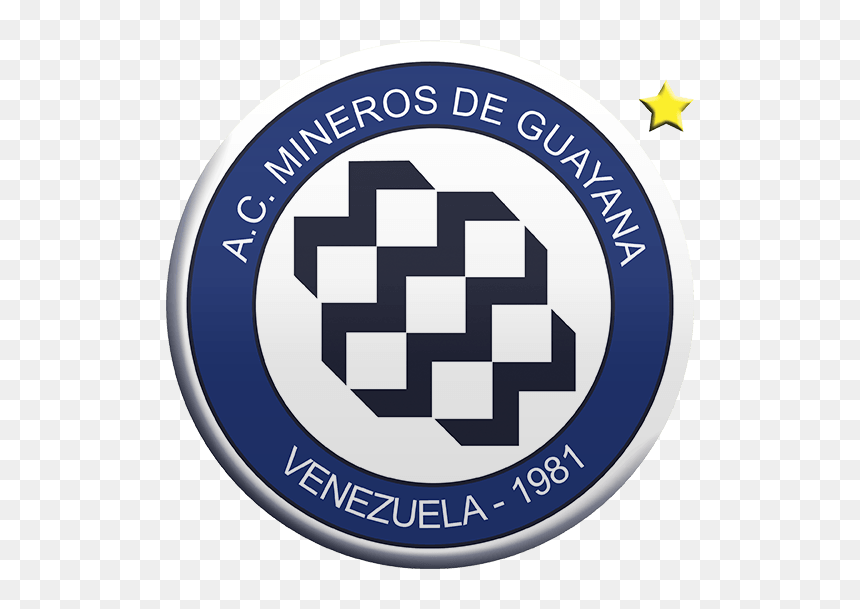 Mineros De Guayana, HD Png Download - copa libertadores png