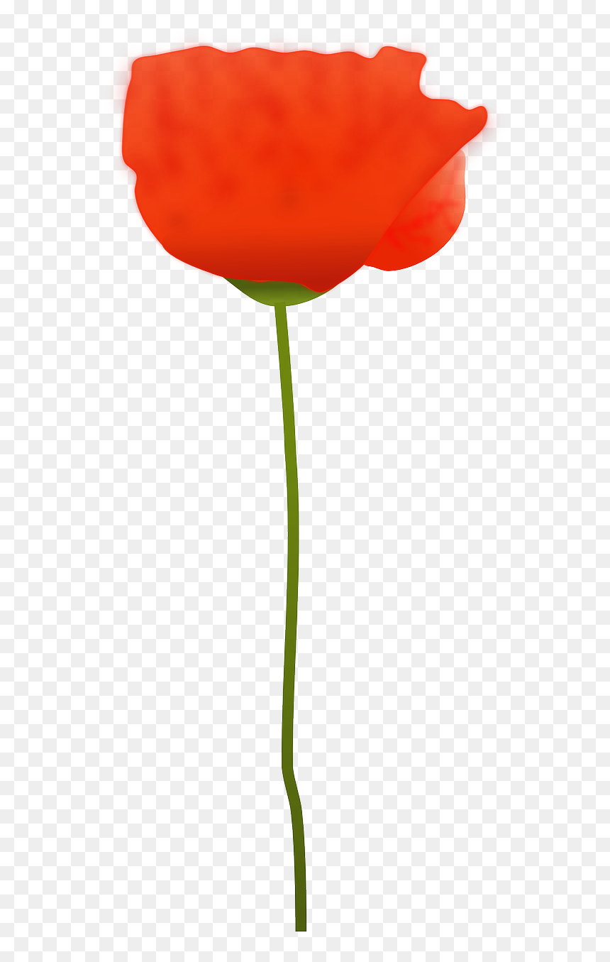 Free Clip Art Puppy Flowers, HD Png Download - red poppy png