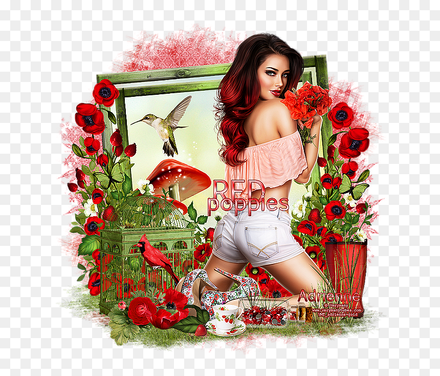Garden Roses, HD Png Download - red poppy png