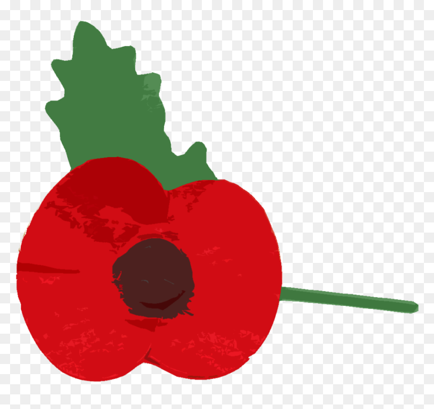 Clip Art, HD Png Download - red poppy png